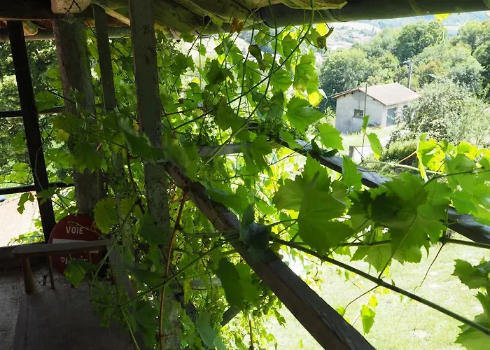 Homestay Le Chatel En Beaujolais