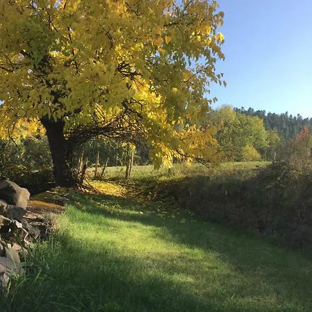 Le Chatel En Beaujolais *