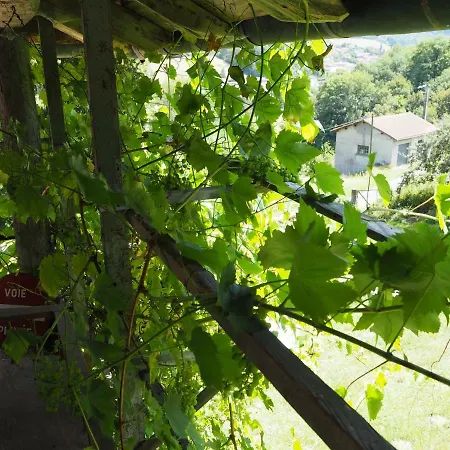 Homestay Le Chatel En Beaujolais