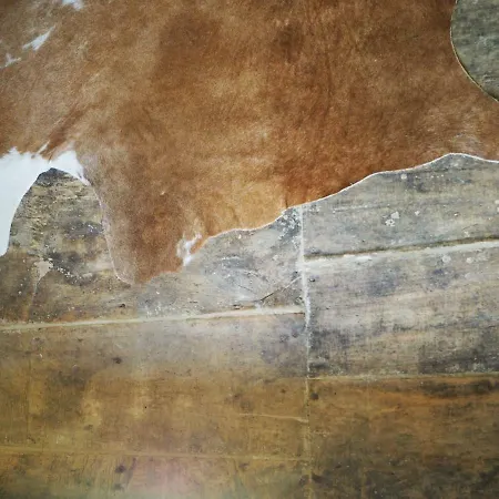 ホームステイ Le Chatel En Beaujolais *