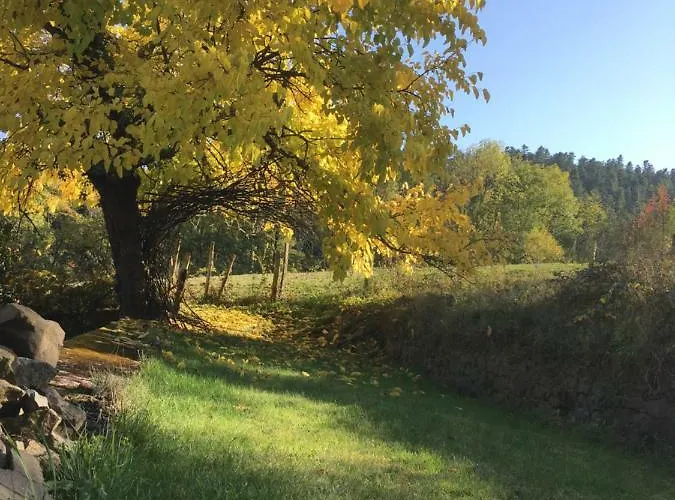 Le Chatel En Beaujolais *